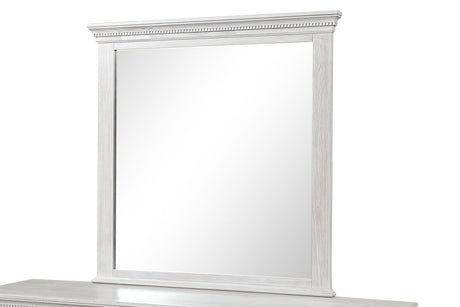 Swanley Weathered Gray Mirror (Mirror Only) from Furniture of America - Luna Furniture