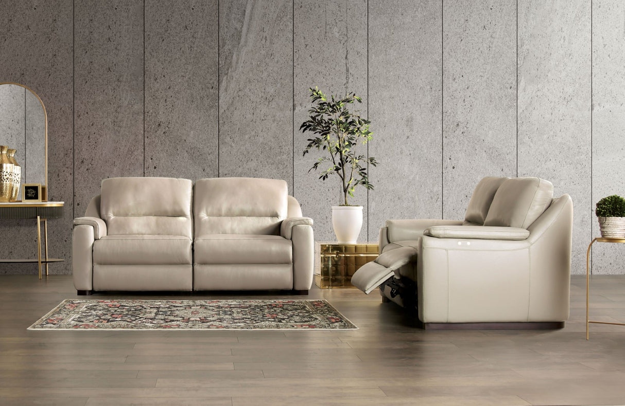 Altamura Taupe Power Loveseat from Furniture of America - Luna Furniture