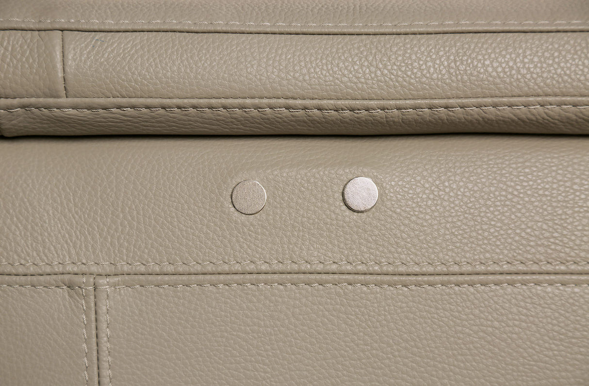 Altamura Taupe Power Loveseat from Furniture of America - Luna Furniture