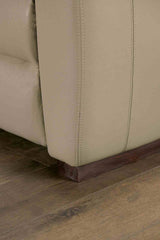 Altamura Taupe Power Sofa from Furniture of America - Luna Furniture