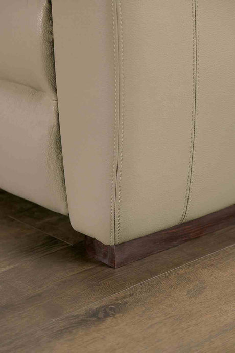 Altamura Taupe Power Sofa from Furniture of America - Luna Furniture
