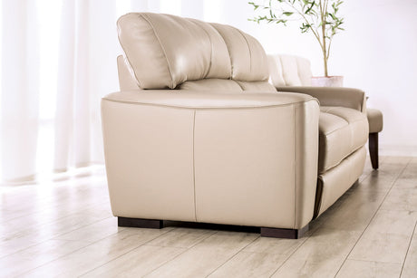 Marsicano Taupe Chair from Furniture of America - Luna Furniture
