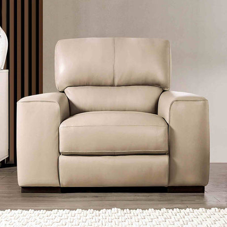 Marsicano Taupe Chair from Furniture of America - Luna Furniture