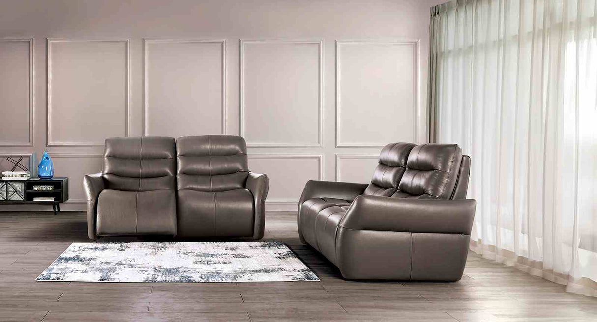 Granucci Gray Sofa from Furniture of America - Luna Furniture