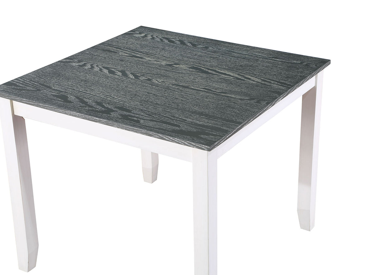 Dunseith White/Gray 5 Pc. Counter Ht. Set from Furniture of America - Luna Furniture