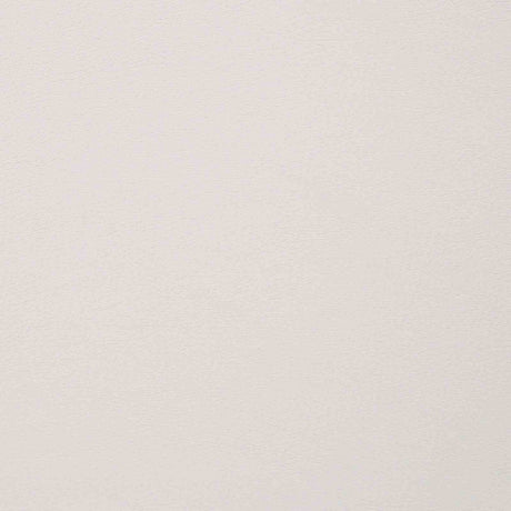 Alisha Black/Ivory Side Chair from Furniture of America - Luna Furniture