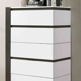 Birsfelden White/Metallic Gray Chest from Furniture of America - Luna Furniture