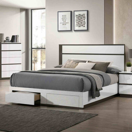 Birsfelden White/Metallic Gray Queen Bed from Furniture of America - Luna Furniture