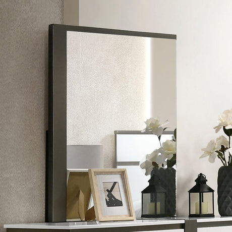 Birsfelden White/Metallic Gray Mirror (Mirror Only) from Furniture of America - Luna Furniture