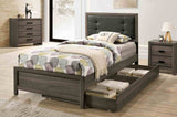 Roanne Gray/Charcoal Twin Bed from Furniture of America - Luna Furniture
