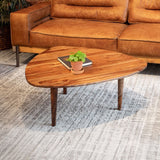 Salem 37" Coffee Table in Natural Sheesham Wood from Home Trends & Design - Luna Furniture