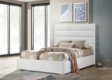 Felicity White Upholstered Full Platform Bed from Coaster - Luna Furniture