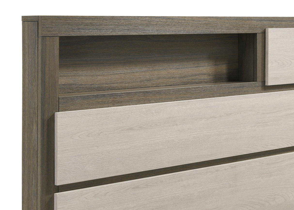 Fenwick Gray Oak Queen Bed Bookcase Headboard from Coaster - Luna Furniture