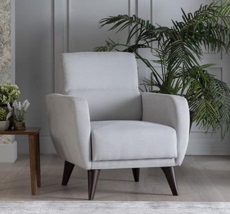 Flexy Zigana Light Gray Chair In A Box with Storage from Bellona - Luna Furniture