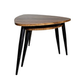 Cove Natural/Black Nesting Tables from Furniture of America - Luna Furniture