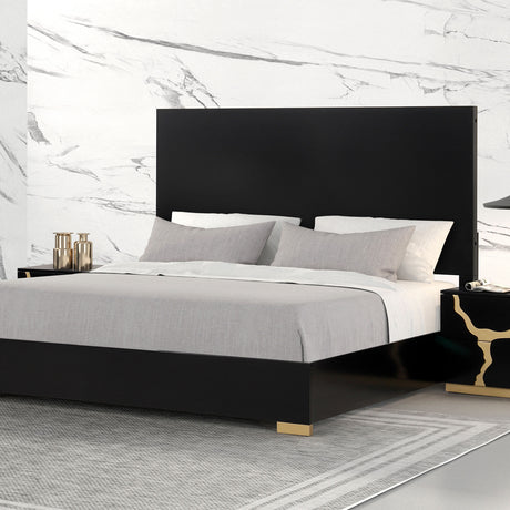 Goldsberg Black Queen Panel Bed from Furniture of America - Luna Furniture