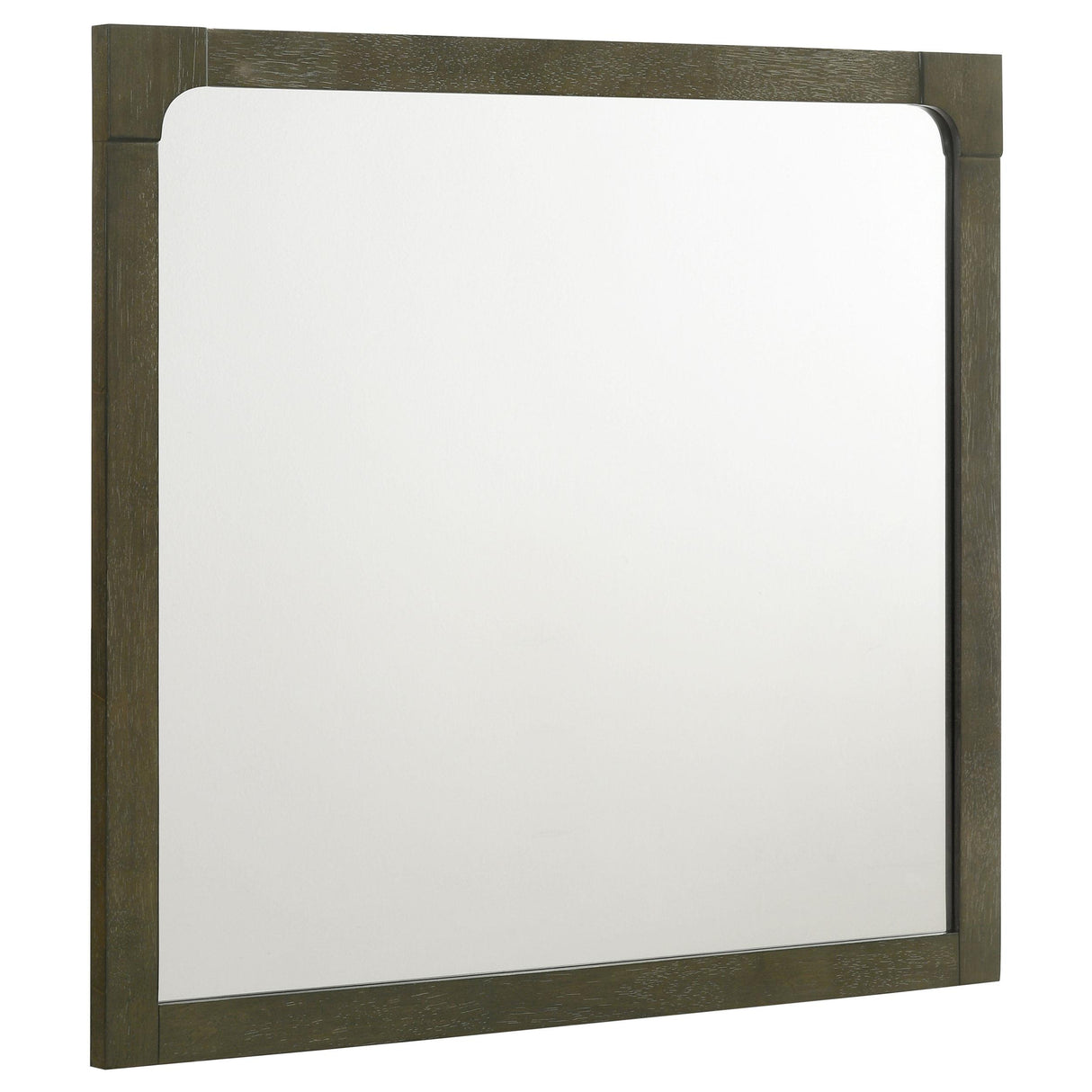 Gran Park Dark Cocoa Dresser Mirror (Mirror Only) from Coaster - Luna Furniture