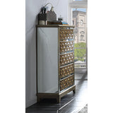 HD-6065 Antique Gold/Mirror Chest from Homey Design - Luna Furniture