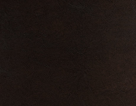 Hartford Vegan Leather Side Chair, Brown, Set of 2 from Steve Silver - Luna Furniture