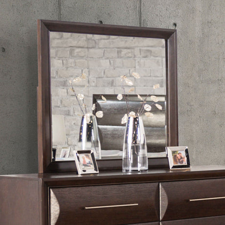 Hinwitz Espresso Mirror (Mirror Only) from Furniture of America - Luna Furniture