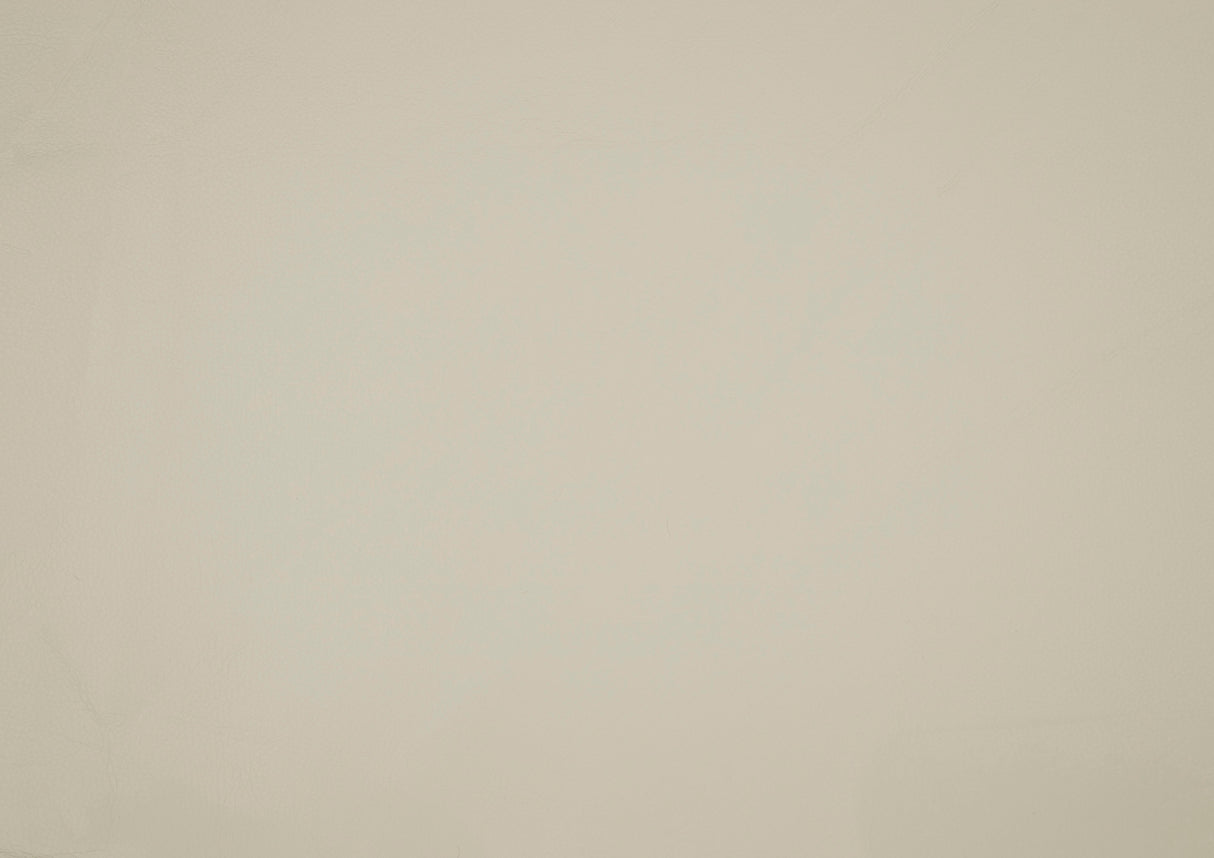 Huron Beige Power Reclining Chair from Homelegance - Luna Furniture