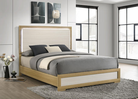 Hyland Natural Wood Queen LED Panel Bed from Coaster - Luna Furniture