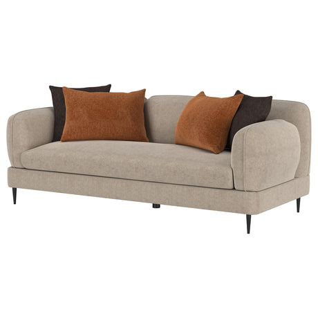 Jade Latte Chenille Sofa from Coaster - Luna Furniture