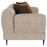 Jade Latte Chenille Sofa from Coaster - Luna Furniture