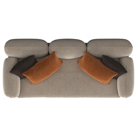 Jade Latte Chenille Sofa from Coaster - Luna Furniture