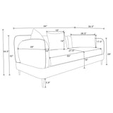 Jade Latte Chenille Sofa from Coaster - Luna Furniture