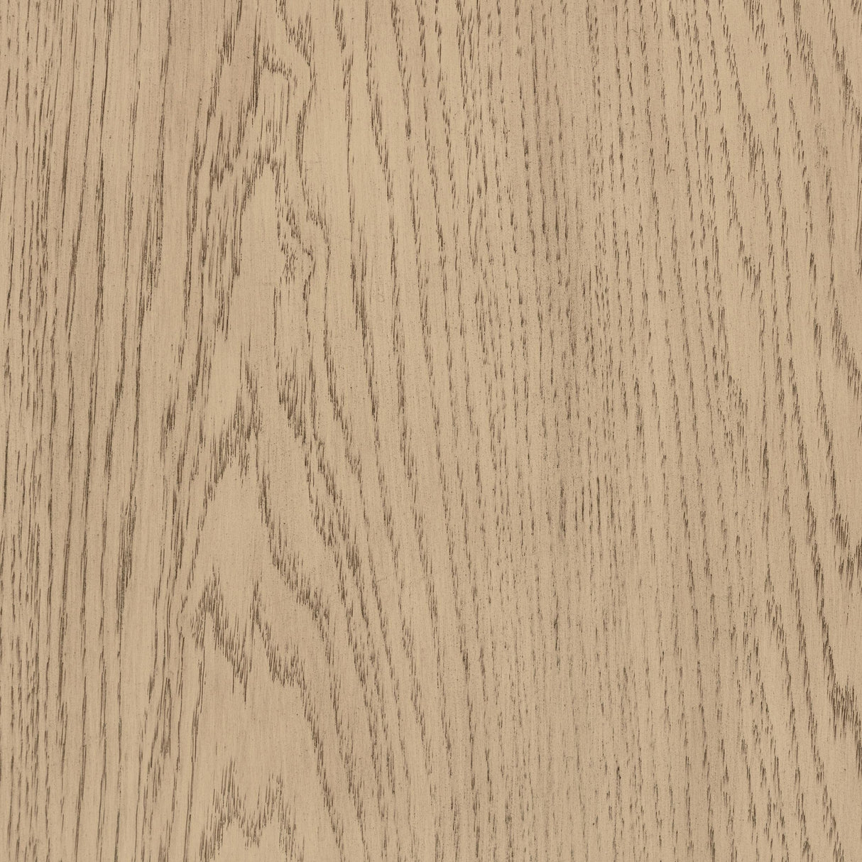 Kailani Beige Oak 2-Drawer Nightstand from Coaster - Luna Furniture