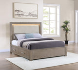 Kenora Barley Brown 56-inch California King LED Storage Bed from Coaster - Luna Furniture
