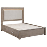 Kenora Barley Brown 56-inch Queen LED Storage Bed from Coaster - Luna Furniture