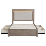 Kenora Barley Brown 56-inch Queen LED Storage Bed from Coaster - Luna Furniture