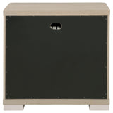 Ladera Light Elm 2-Drawer Nightstand from Coaster - Luna Furniture