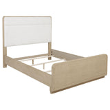 Ladera Light Elm Queen Panel Bed from Coaster - Luna Furniture