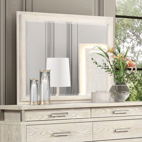 Lafayette Weathered Gray Mirror (Mirror Only) from Furniture of America - Luna Furniture
