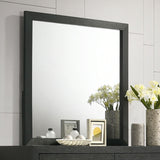 Latimer Black Mirror (Mirror Only) from Furniture of America - Luna Furniture
