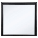 Leandro Burnished Black Dresser Mirror (Mirror Only) from Coaster - Luna Furniture