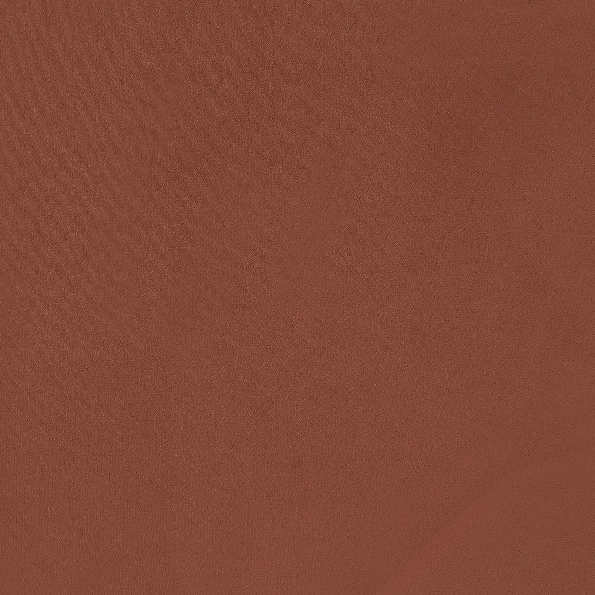 Liana Rust Orange Upholstered Roll Arm Accent Armchair from Coaster - Luna Furniture