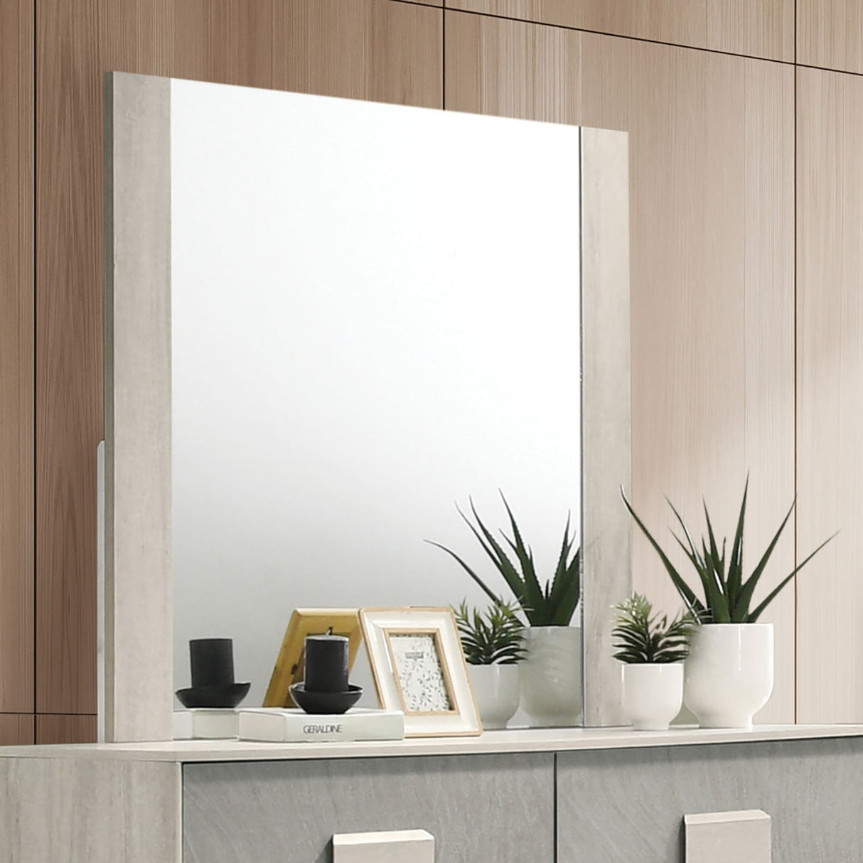 Lincolt White Wash/Stone Gray Mirror (Mirror Only) from Furniture of America - Luna Furniture