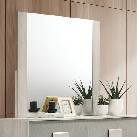 Lincolt White Wash/Stone Gray Mirror (Mirror Only) from Furniture of America - Luna Furniture