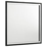 Lucia Black Dresser Mirror (Mirror Only) from Coaster - Luna Furniture