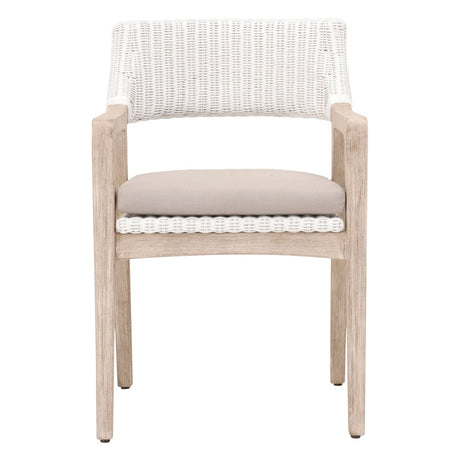 Lucia Arm Chair from Essentials For Living - Luna Furniture