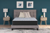 Elite Springs Firm Gray/Blue King Mattress from Ashley - Luna Furniture
