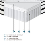 MT-PH12EK 12" Eastern King Hybrid Mattress from Homelegance - Luna Furniture