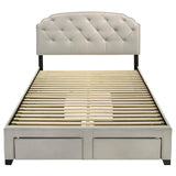 Marianna Cream 4-Drawer Upholstered Queen Storage Bed from Coaster - Luna Furniture