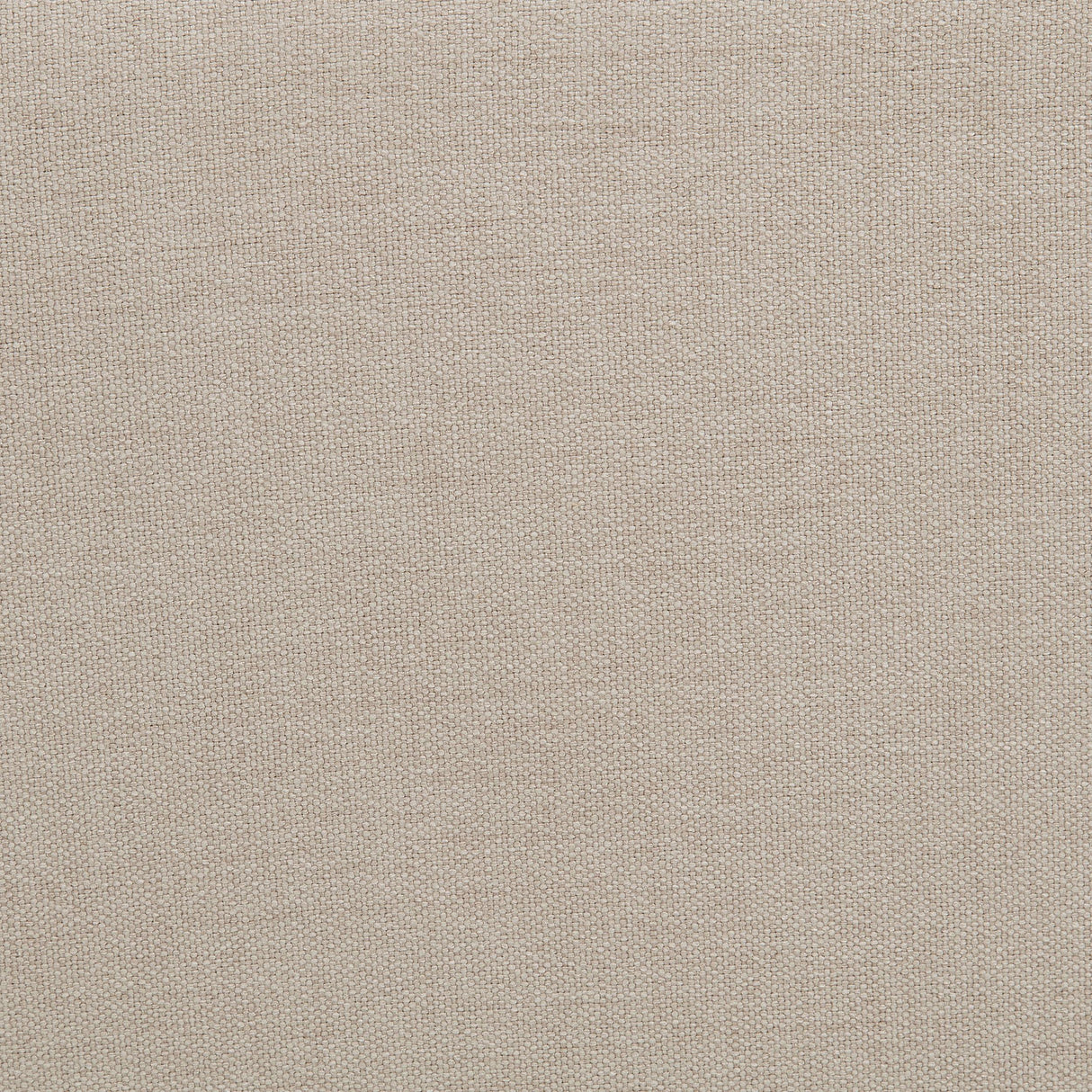 Marsha Latte 52-inch Upholstered Entryway Accent Bench from Coaster - Luna Furniture