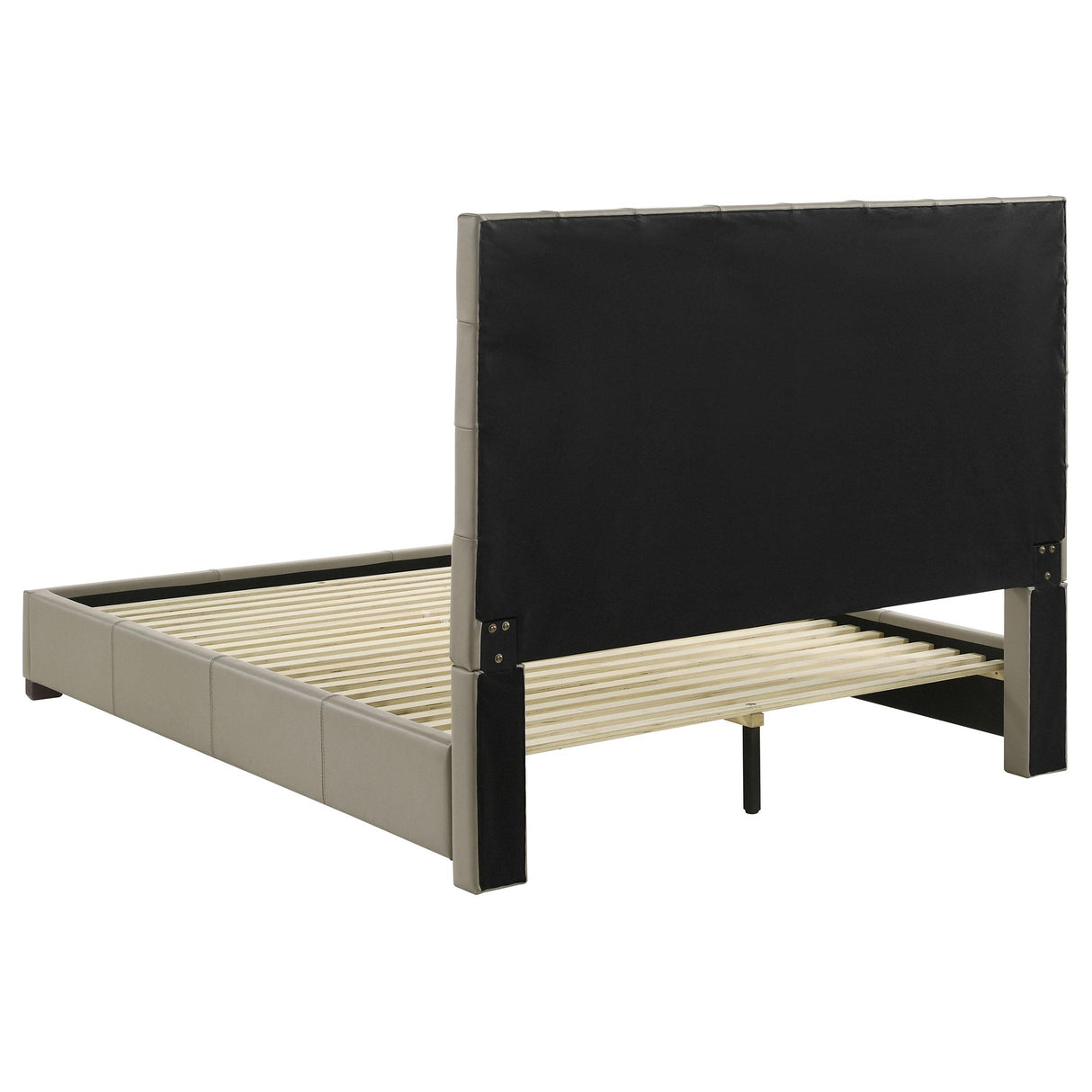 Medley Tan Genuine Leather Queen Panel Platform Bed from Coaster - Luna Furniture