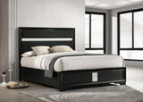 Miranda Black 55-inch Upholstered California King Panel Bed from Coaster - Luna Furniture